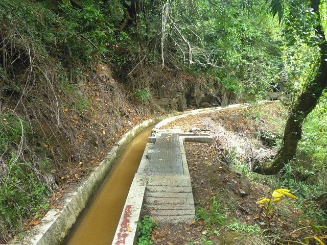 31.07.2014 Levada dos Tornos (Endast), Levada Nova, Levada do Moinho da Serra — Auf der Levada Nova — Foto 5