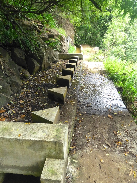 31.07.2014 Levada dos Tornos (Endast), Levada Nova, Levada do Moinho da Serra — Auf der Levada Nova — Foto 6