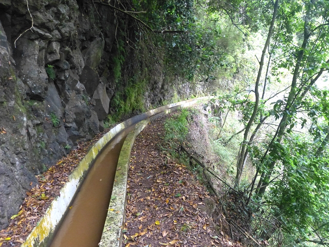 31.07.2014 Levada dos Tornos (Endast), Levada Nova, Levada do Moinho da Serra — Auf der Levada Nova — Foto 7