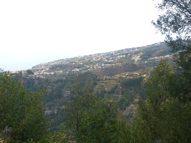 31.07.2014 Levada dos Tornos (Endast), Levada Nova, Levada do Moinho da Serra — Auf der Levada Nova — Foto 15