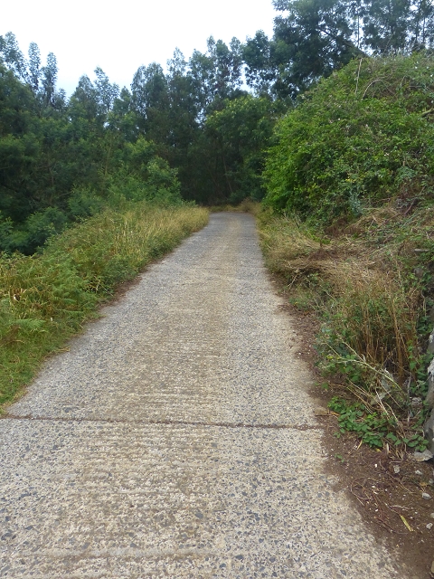31.07.2014 Levada dos Tornos (Endast), Levada Nova, Levada do Moinho da Serra — Abstieg zur Levada do Moinho da Serra — Foto 1
