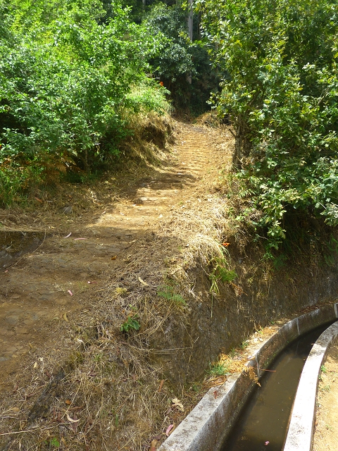 31.07.2014 Levada dos Tornos (Endast), Levada Nova, Levada do Moinho da Serra — Auf dem Endstück der Levada dos Tornos — Foto 7