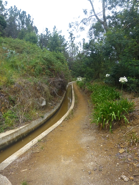Levada Nova — Weiter bis zur 2. Grossen Wasserabzweigung — Foto 1