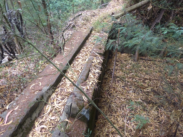 31.07.2014 Levada dos Tornos (Endast), Levada Nova, Levada do Moinho da Serra — Abstieg zur Levada do Moinho da Serra — Foto 6