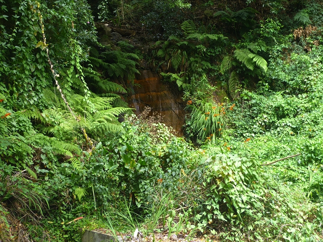 31.07.2014 Levada dos Tornos (Endast), Levada Nova, Levada do Moinho da Serra — Auf dem Endstück der Levada dos Tornos — Foto 8