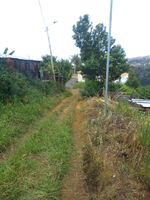 31.07.2014 Levada dos Tornos (Endast), Levada Nova, Levada do Moinho da Serra — Abstieg zur Levada do Moinho da Serra — Foto 14