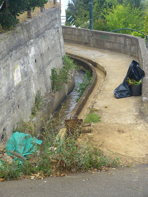 31.07.2014 Levada dos Tornos (Endast), Levada Nova, Levada do Moinho da Serra — Auf der Levada Moinho da Serra zuerst ein paar Meter in Fliessrichtung, dann zur Madre — Foto 1
