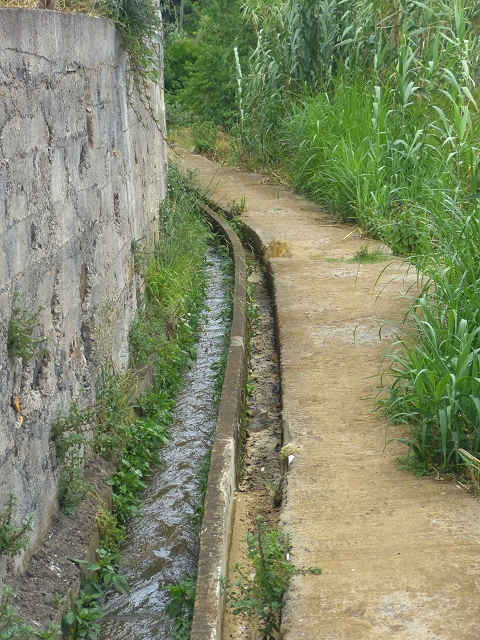 31.07.2014 Levada dos Tornos (Endast), Levada Nova, Levada do Moinho da Serra — Auf der Levada Moinho da Serra zuerst ein paar Meter in Fliessrichtung, dann zur Madre — Foto 2