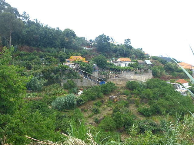 31.07.2014 Levada dos Tornos (Endast), Levada Nova, Levada do Moinho da Serra — Auf der Levada Moinho da Serra zuerst ein paar Meter in Fliessrichtung, dann zur Madre — Foto 3