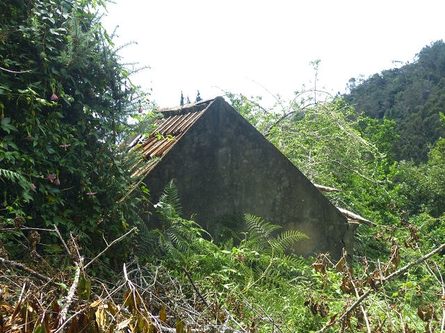 31.07.2014 Levada dos Tornos (Endast), Levada Nova, Levada do Moinho da Serra — Auf dem Endstück der Levada dos Tornos — Foto 9