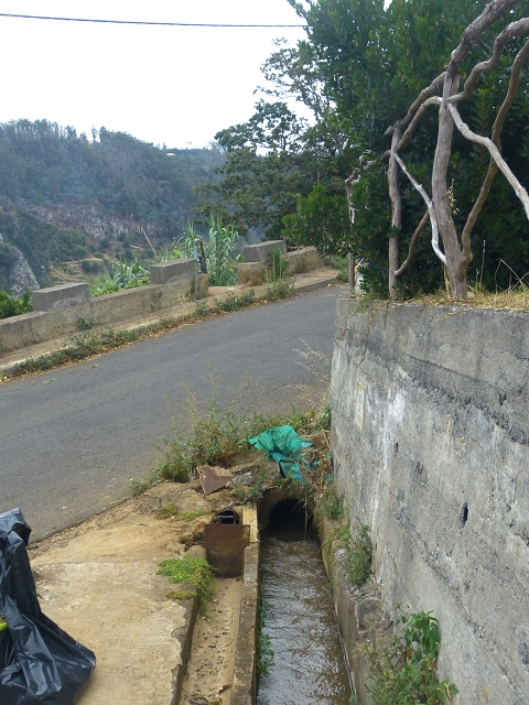 31.07.2014 Levada dos Tornos (Endast), Levada Nova, Levada do Moinho da Serra — Auf der Levada Moinho da Serra zuerst ein paar Meter in Fliessrichtung, dann zur Madre — Foto 6