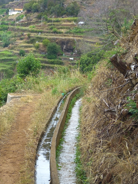 31.07.2014 Levada dos Tornos (Endast), Levada Nova, Levada do Moinho da Serra — Auf der Levada Moinho da Serra zuerst ein paar Meter in Fliessrichtung, dann zur Madre — Foto 9
