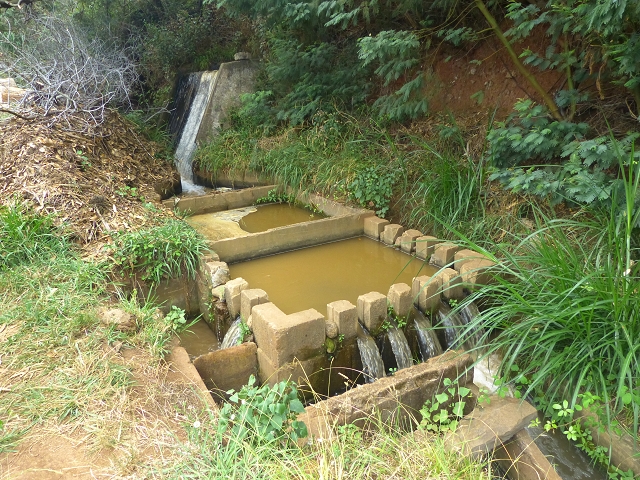 31.07.2014 Levada dos Tornos (Endast), Levada Nova, Levada do Moinho da Serra — Auf der Levada Moinho da Serra zuerst ein paar Meter in Fliessrichtung, dann zur Madre — Foto 13