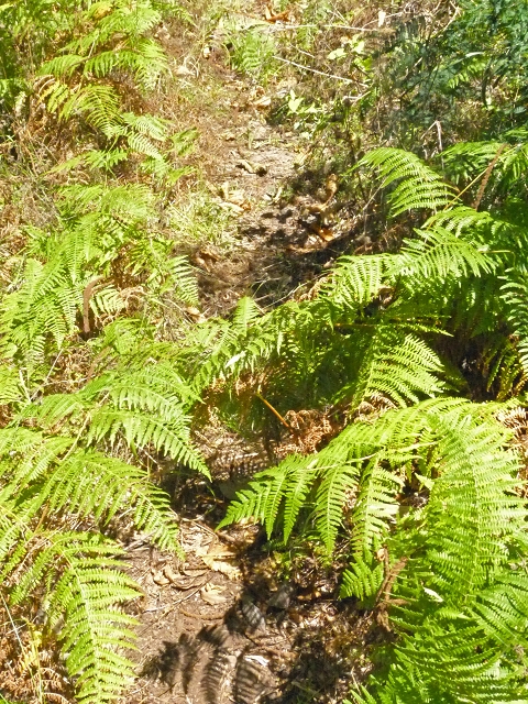 Aguas dos Tornos — foto 22