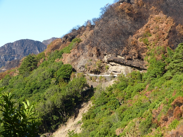 Canal do Norte — photo 3
