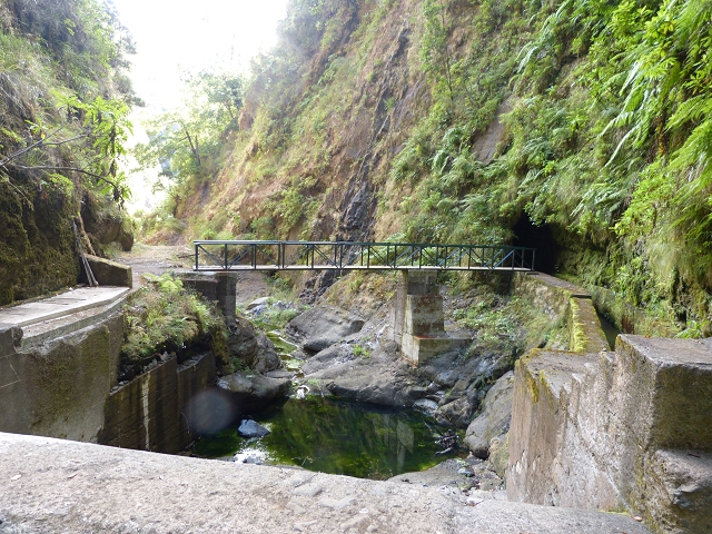 Levada da Serra do Faial — Verlauf in der Ribeira Seca — Foto 3