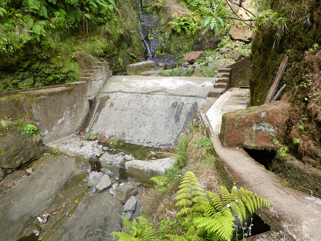 Levada da Serra do Faial — Verlauf in der Ribeira Seca — Foto 2