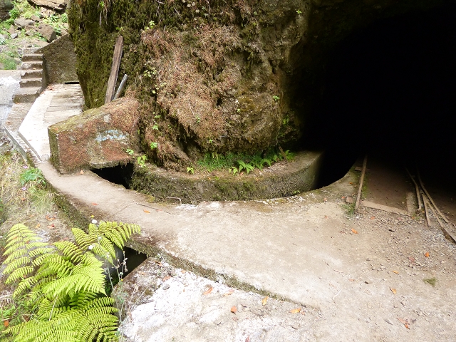 Levada da Serra do Faial — Verlauf in der Ribeira Seca — Foto 1