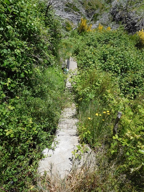 Levada do Barreiro — Abschnitt 1: Vom Bachbett zur Abzweigung zu den Escadinhas — Foto 3