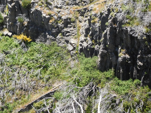 Levada do Barreiro — Abschnitt 1: Von der Abzweigung zu den Escadinhas bis zum Ende des begehbaren Abschnittes — Foto 3