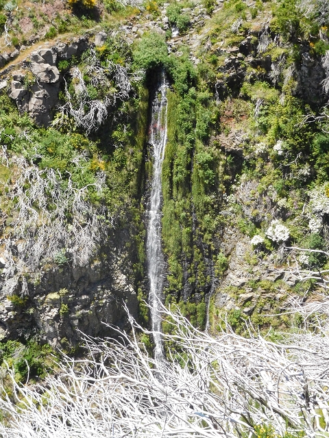 Levada do Barreiro — Abschnitt 1: Von der Abzweigung zu den Escadinhas bis zum Ende des begehbaren Abschnittes — Foto 4