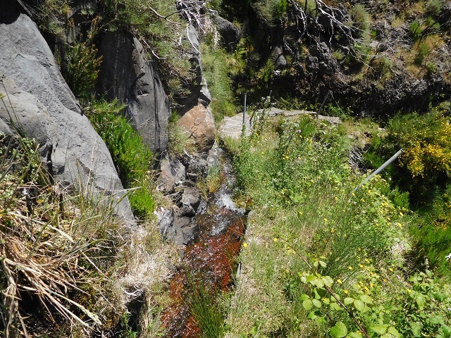 Levada do Barreiro — Abschnitt 1: Von der Abzweigung zu den Escadinhas bis zum Ende des begehbaren Abschnittes — Foto 11