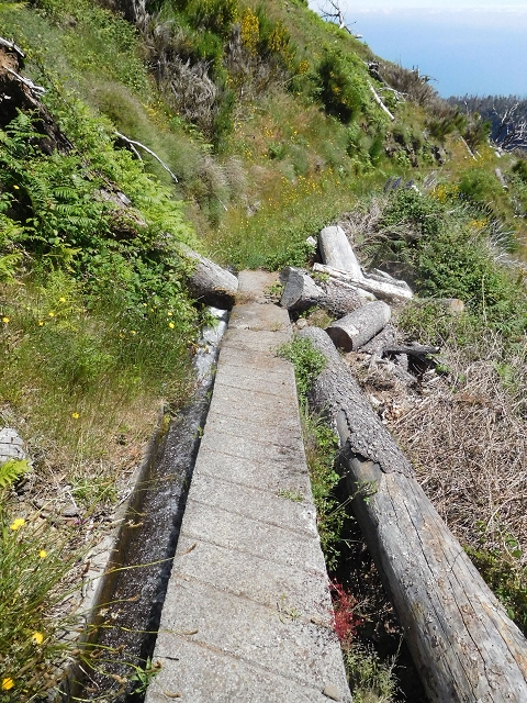 Levada do Barreiro — Abschnitt 1: Von der Abzweigung zu den Escadinhas bis zum Ende des begehbaren Abschnittes — Foto 12