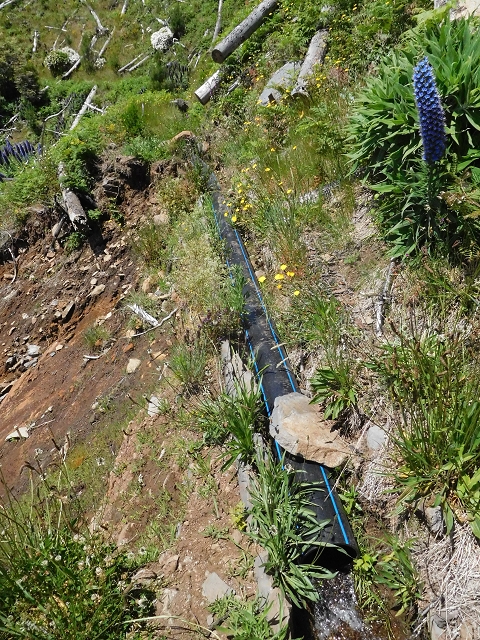 Levada do Barreiro — Abschnitt 1: Von der Abzweigung zu den Escadinhas bis zum Ende des begehbaren Abschnittes — Foto 14