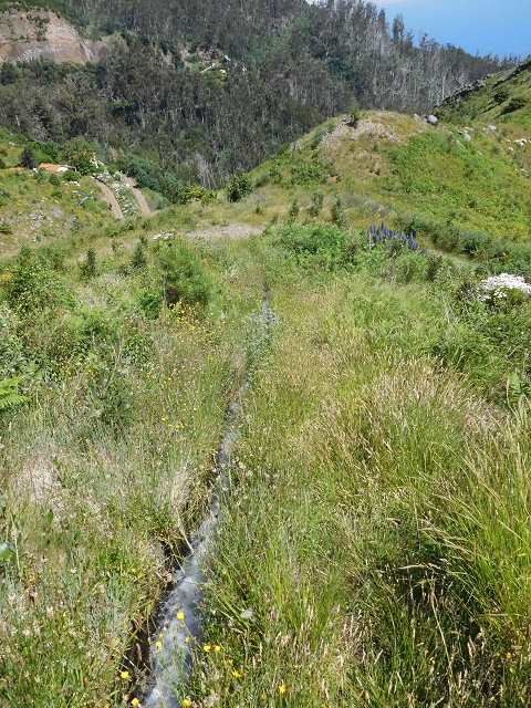 Levada do Barreiro — Abschnitt 1: Von der Abzweigung zu den Escadinhas bis zum Ende des begehbaren Abschnittes — Foto 17