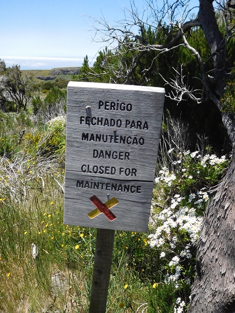 Levada do Barreiro — Abschnitt 1: Von der Madre zum Bachbett — Foto 3