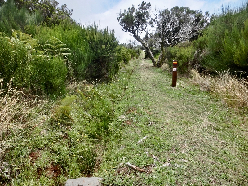 Levada do Barreiro — Update Oktober 2020 — Foto 1