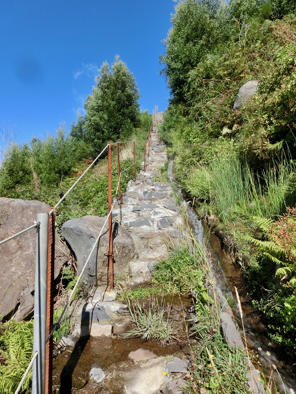 Levada do Barreiro — Update Oktober 2020 — Foto 10