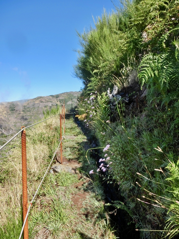 Levada do Barreiro — Update Oktober 2020 — Foto 11