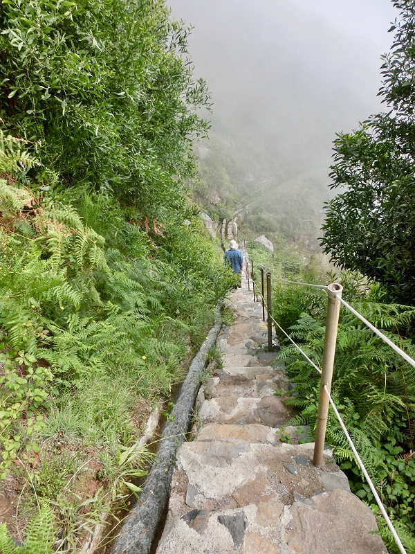 Levada do Barreiro — Update Oktober 2020 — Foto 12