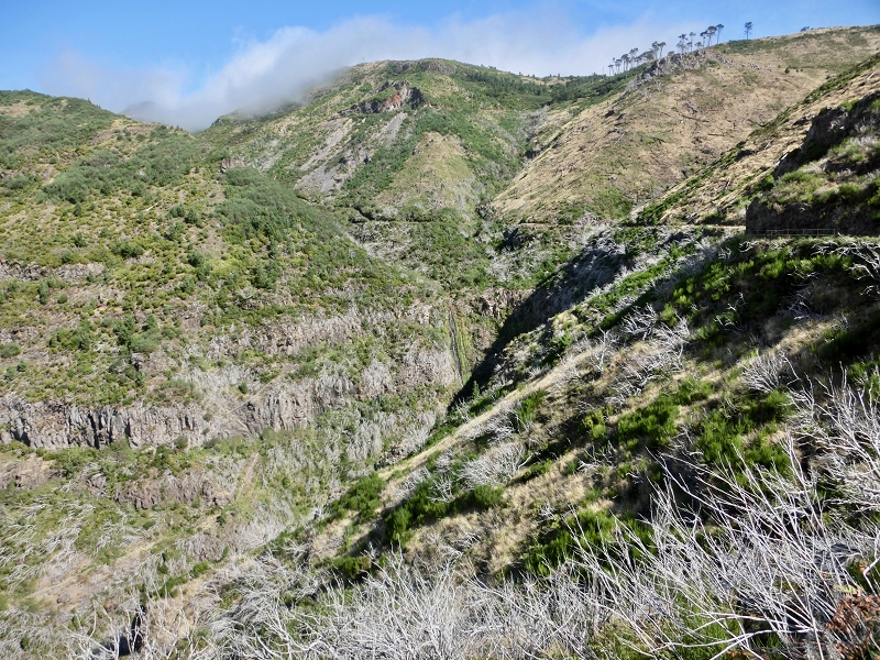 Levada do Barreiro — Update Oktober 2020 — Foto 13