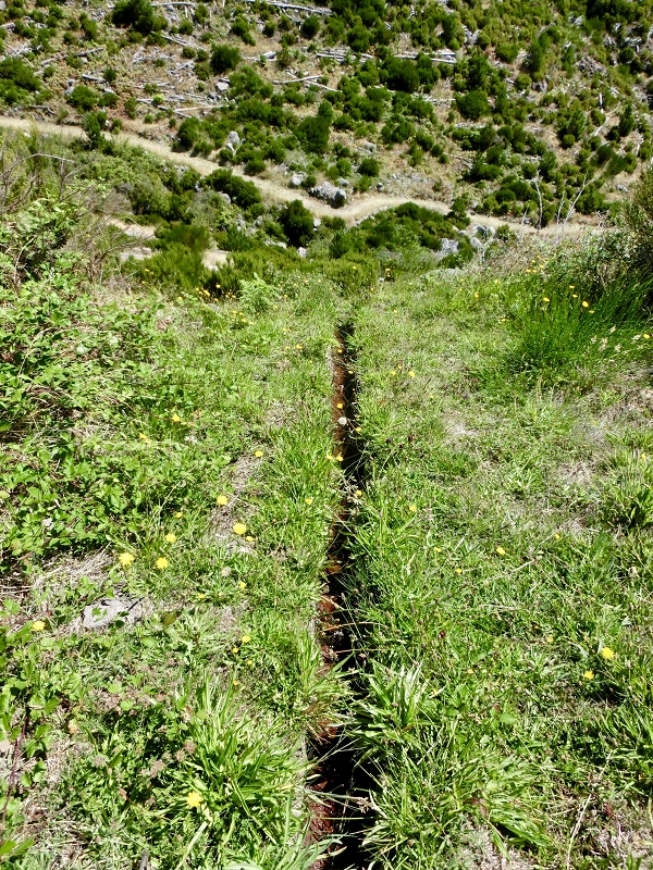 Levada do Barreiro — Update Oktober 2020 — Foto 2