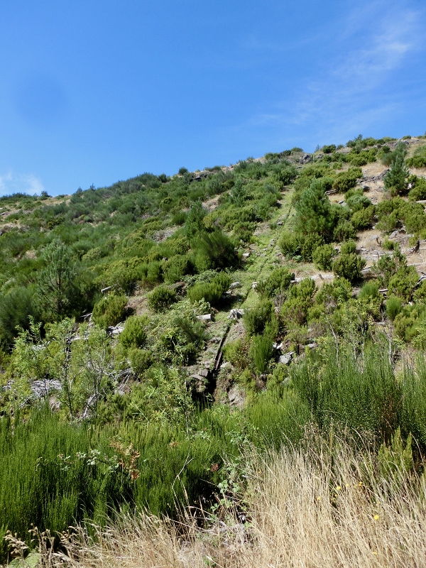 Levada do Barreiro — Update Oktober 2020 — Foto 3