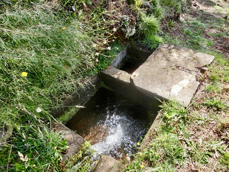 Levada do Barreiro — Update Oktober 2020 — Foto 4