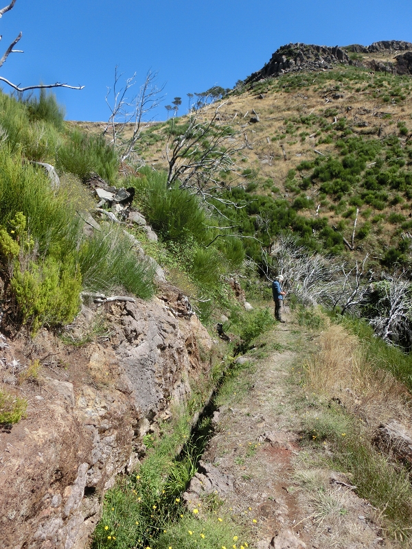 Levada do Barreiro — Update Oktober 2020 — Foto 5