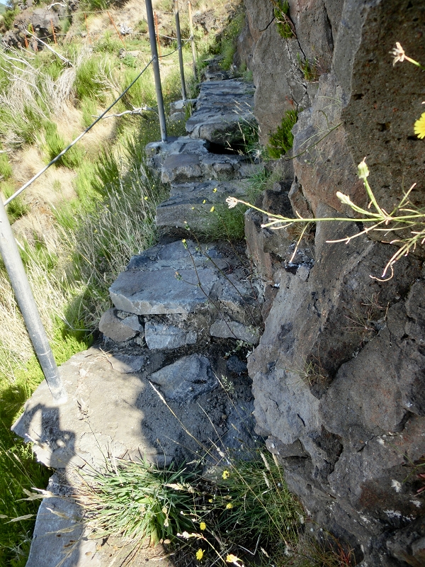 Levada do Barreiro — Update Oktober 2020 — Foto 6