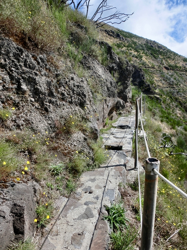 Levada do Barreiro — Update Oktober 2020 — Foto 9