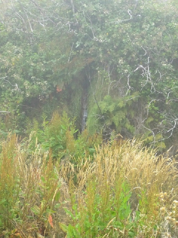Levada do Blandy — Do pequeno reservatório à estrada do Areeiro — foto 1