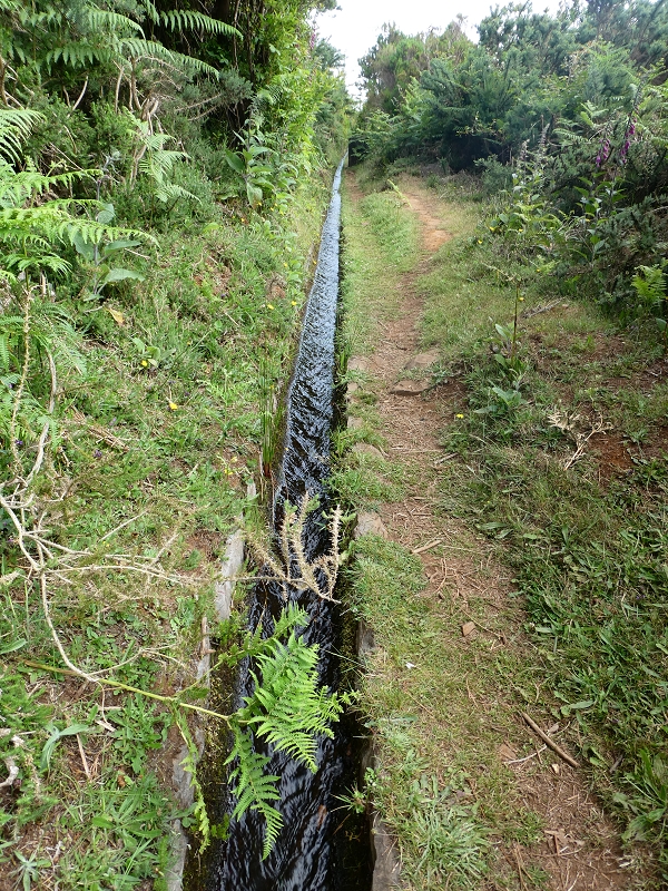 Levada do Blandy — Do pequeno reservatório à estrada do Areeiro — foto 4