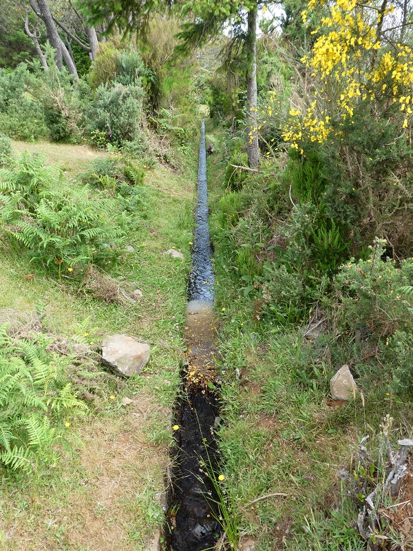 Levada do Blandy — Do pequeno reservatório à estrada do Areeiro — foto 5