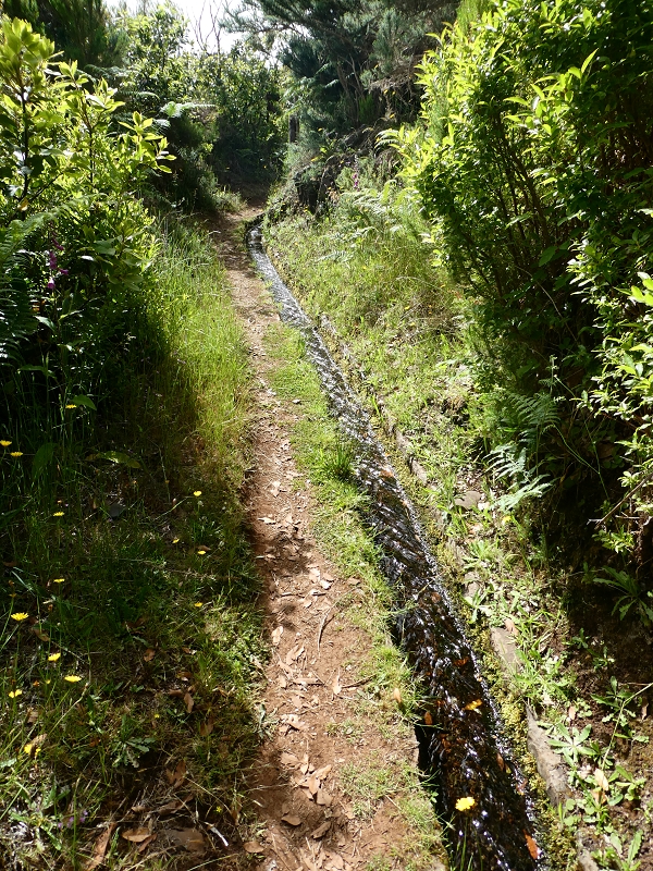 Levada do Blandy — Do pequeno reservatório à estrada do Areeiro — foto 6