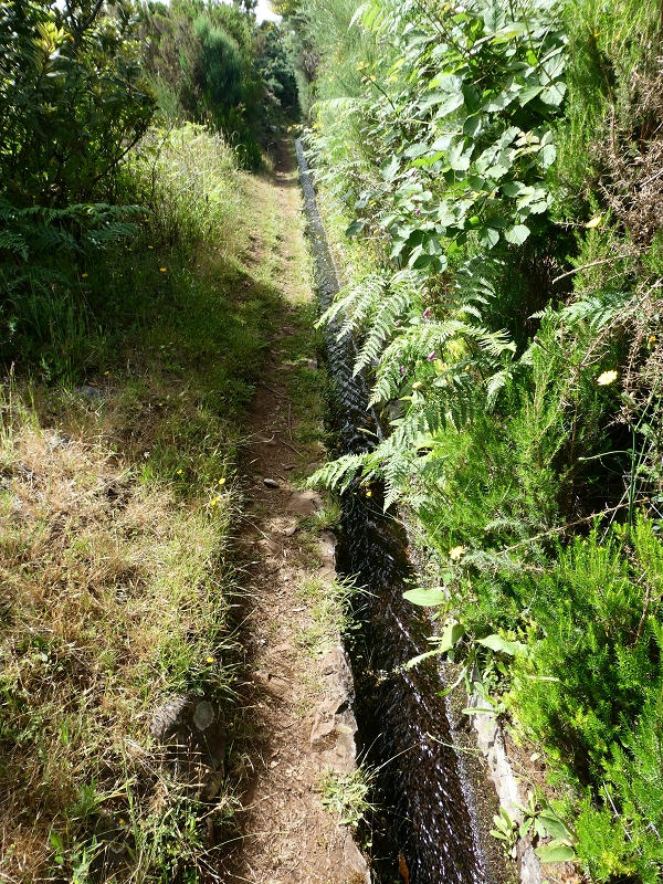Levada do Blandy — Do pequeno reservatório à estrada do Areeiro — foto 7