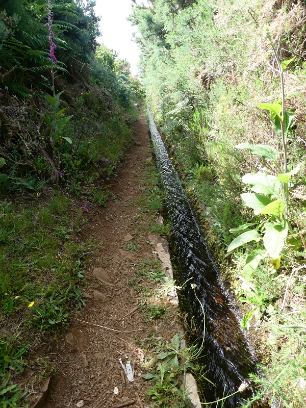 Levada do Blandy — Do pequeno reservatório à estrada do Areeiro — foto 8