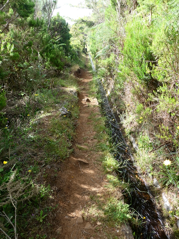 Levada do Blandy — Do pequeno reservatório à estrada do Areeiro — foto 9