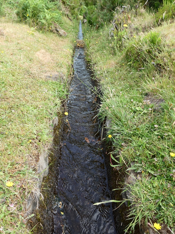 Levada do Blandy — Do pequeno reservatório à estrada do Areeiro — foto 10
