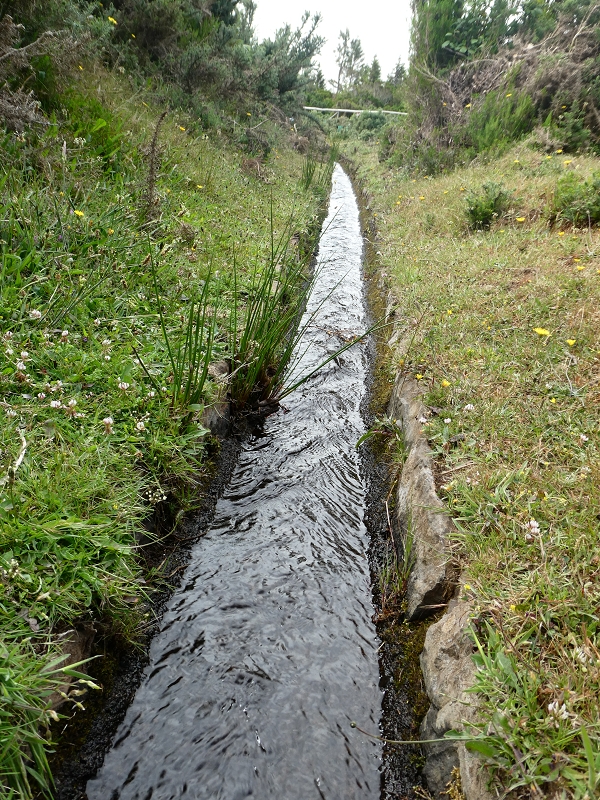 Levada do Blandy — Do pequeno reservatório à estrada do Areeiro — foto 11